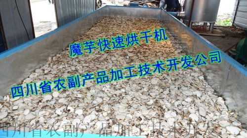 魔芋精粉生產(chǎn)設備 農(nóng)副產(chǎn)品加工的關鍵技術