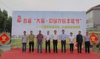 大麻稻田的新生機 農(nóng)副產(chǎn)品的多元開發(fā)