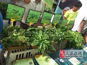 三亞市扶貧農(nóng)產(chǎn)品展銷會 農(nóng)副產(chǎn)品引圍觀，創(chuàng)意無限人潮涌動