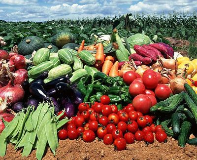 農副產品“價賤傷農”背后 價格低迷為何仍陷銷售困境？