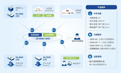 國(guó)家權(quán)威認(rèn)證！深信服SASE榮獲CCRC數(shù)據(jù)安全管理認(rèn)證，為互聯(lián)網(wǎng)數(shù)據(jù)服務(wù)保駕護(hù)航