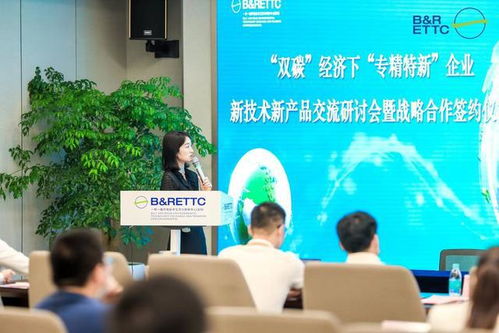 雙碳目標(biāo)引領(lǐng)未來(lái) 智能網(wǎng)聯(lián)車企轉(zhuǎn)型之路與一帶一路合作新機(jī)遇